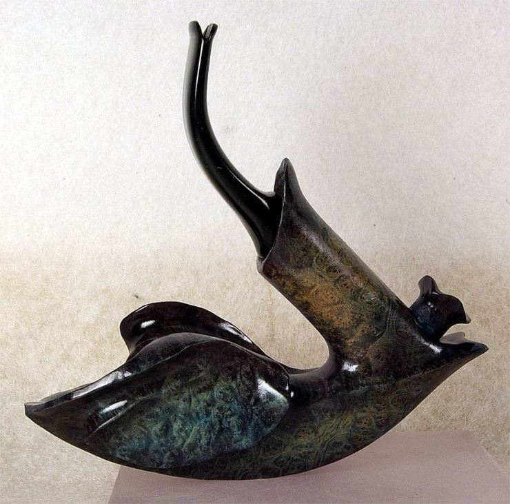 10171762_367218260140978_7201282707426836052_n