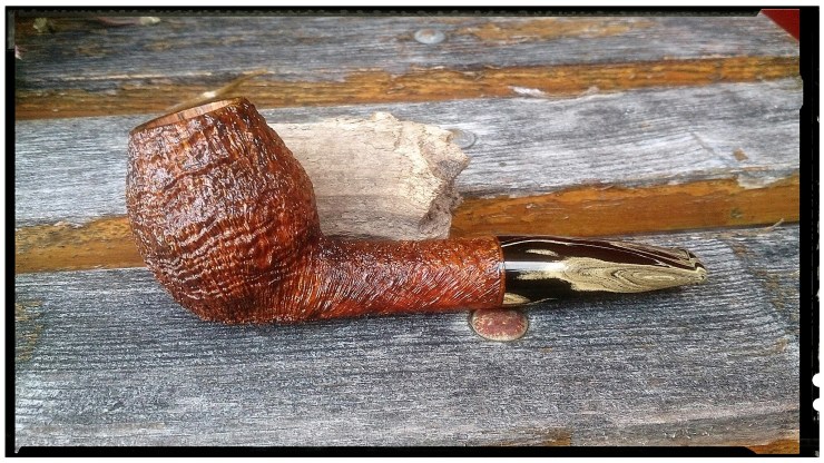 13995612_178494192562228_1664121217217202529_o