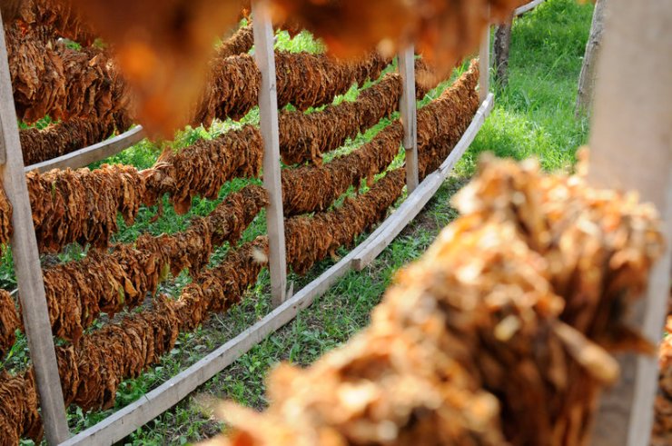 Abenteuer Trkei: Die Schwarzmeerkste