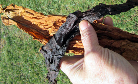 Cavendish20120307_072_beforeAfter_300