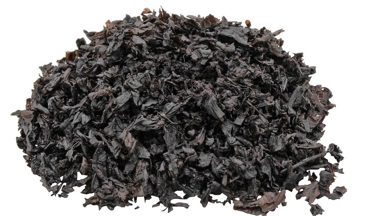 IMG_2474__51471.1533849937