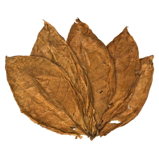 orient-samsoun-tabakblaetter-rohtabak